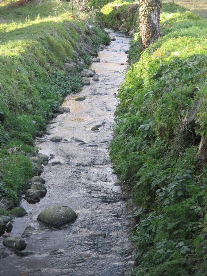 Podere Pian Dei Gelsi Volterra Zewnętrze zdjęcie