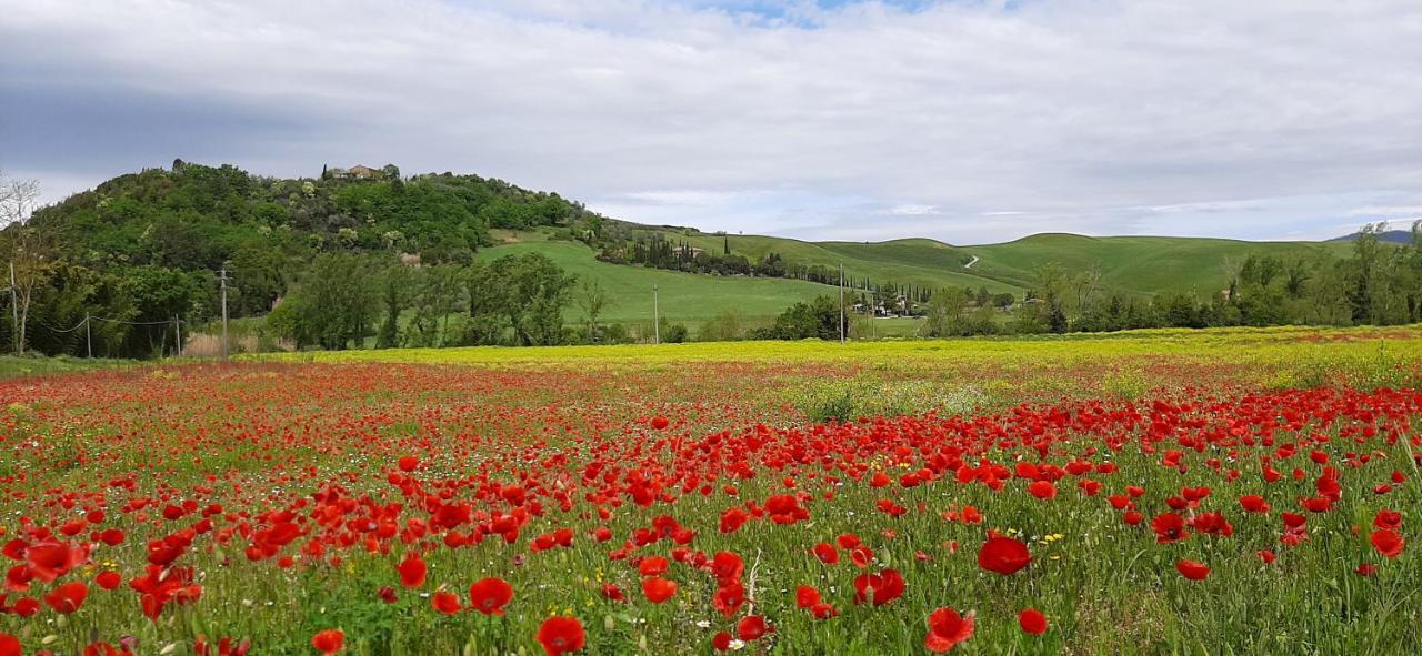 Podere Pian Dei Gelsi Volterra Zewnętrze zdjęcie