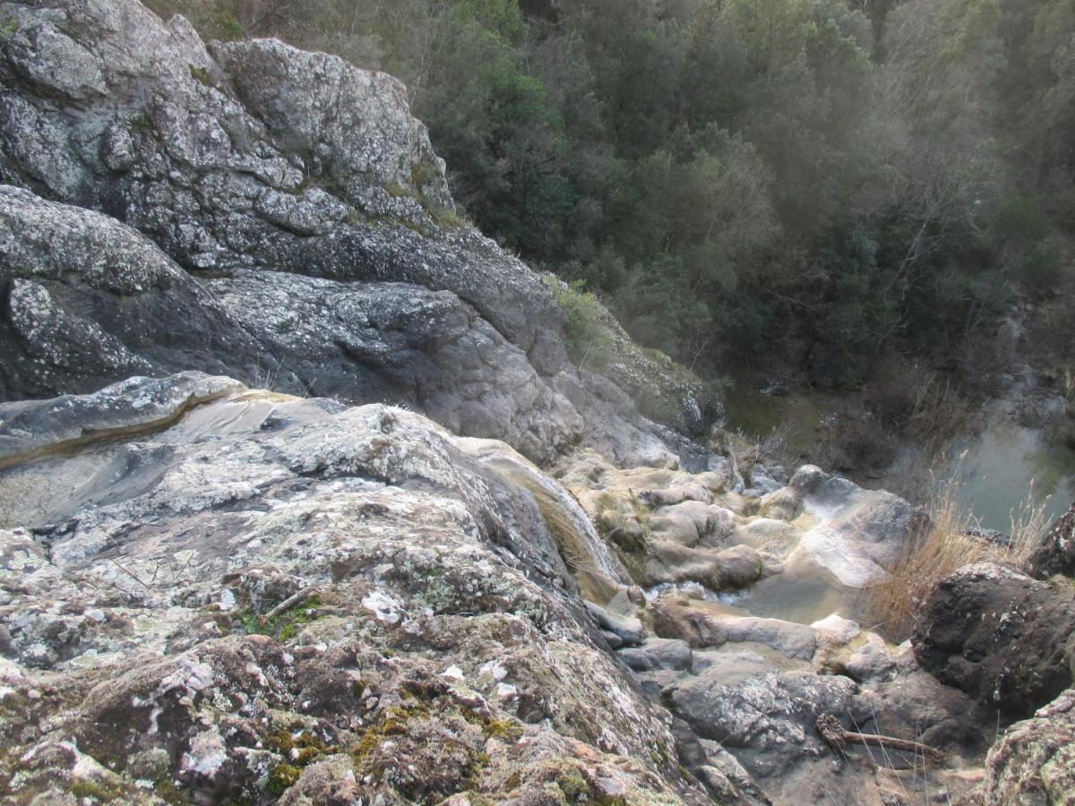 Podere Pian Dei Gelsi Volterra Zewnętrze zdjęcie