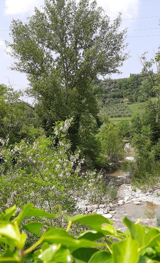Podere Pian Dei Gelsi Volterra Zewnętrze zdjęcie