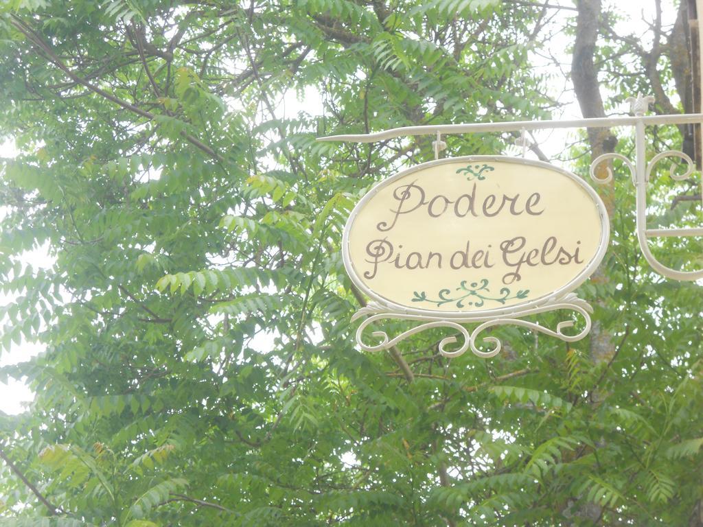 Podere Pian Dei Gelsi Volterra Zewnętrze zdjęcie