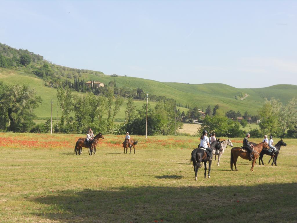 Podere Pian Dei Gelsi Volterra Zewnętrze zdjęcie
